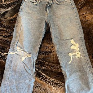 Agolde Wilder Jeans